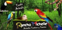 Rancho Michelle
