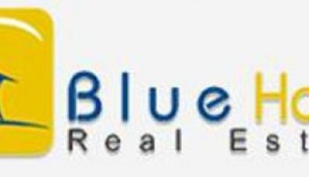 Blue Home Real Estate