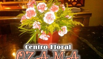 Centro Floral Ozama