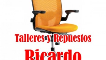Talleres y Repuestos Ricardo